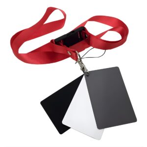 cartao-cinza-18-branco-e-preto-equilibrio-de-cores