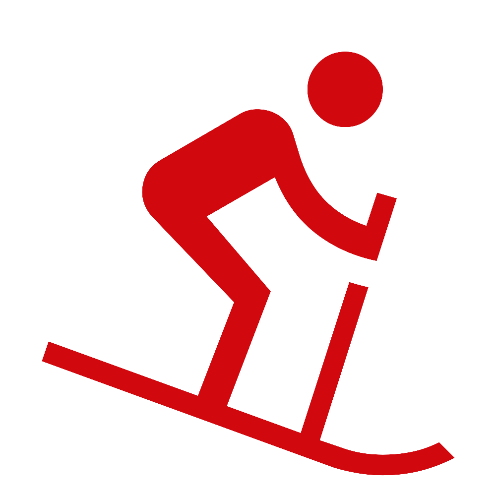downhill skiing 1000dp D1090F FILL0 wght400 GRAD0 opsz48