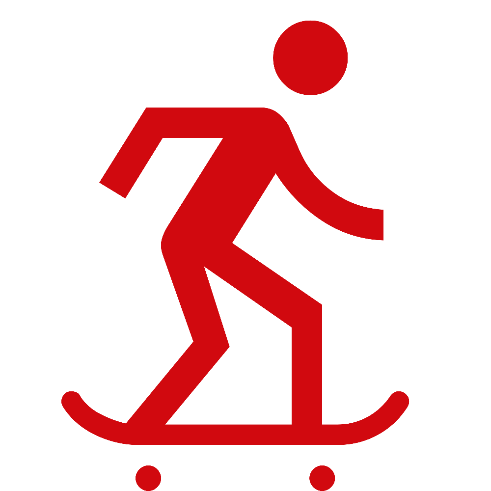 skateboarding 1000dp D1090F FILL0 wght400 GRAD0 opsz48
