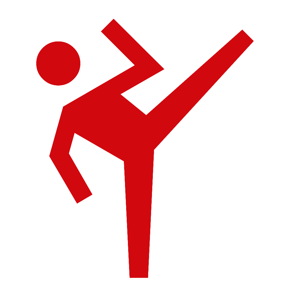 sports martial arts 1000dp D1090F FILL0 wght400 GRAD0 opsz48