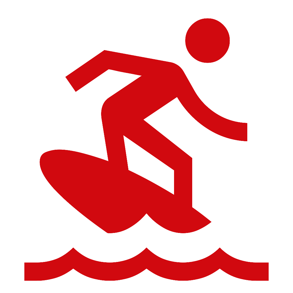 surfing 1000dp D1090F FILL0 wght400 GRAD0 opsz48