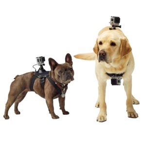 c-suporte-canino-lombar-e-peito-para-gopro-sjcam-eken-xtrax-hd-4k