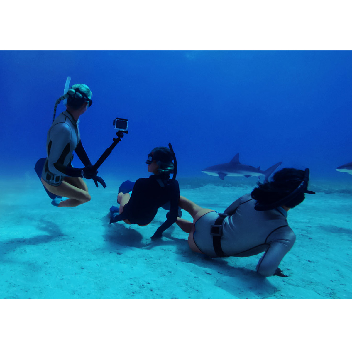 Caixa Estanque de Mergulho GoPro HERO9, HERO10, HERO11 e HERO12 Black - ADDIV-001 4 Caixa Estanque de Mergulho GoPro HERO9, HERO10, HERO11 e HERO12 Black - ADDIV-001 - Imagem 4